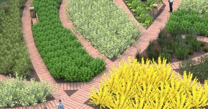 Miasto ogłosiło przetarg dotyczący Doliny Silnicy