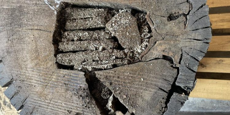 Sensacyjne odkrycie sprzed 1400 lat. Zobaczymy je na żywo w Kielcach