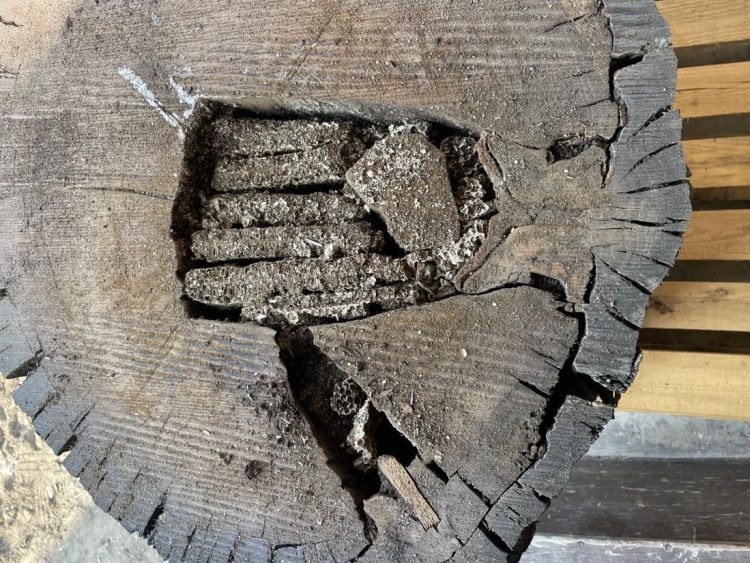 Sensacyjne odkrycie sprzed 1400 lat. Zobaczymy je na żywo w Kielcach