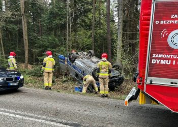 Dachowanie radiowozu. Powodem sarna, która wybiegła przed jadący pojazd