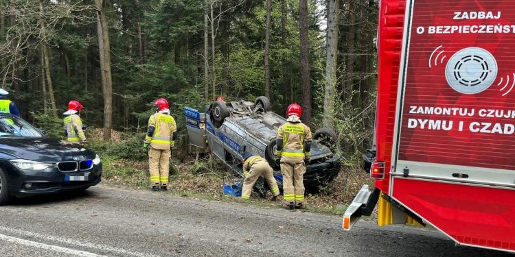 Dachowanie radiowozu. Powodem sarna, która wybiegła przed jadący pojazd