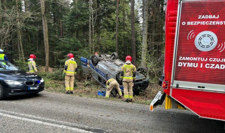 Dachowanie radiowozu. Powodem sarna, która wybiegła przed jadący pojazd