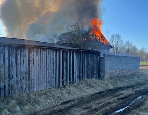 Pożar stodoły w gminie Zagnańsk. Zginęło 30 królików i 20 przepiórek