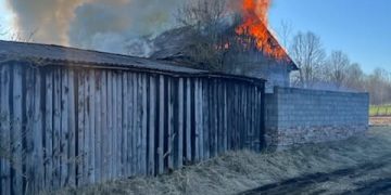 Pożar stodoły w gminie Zagnańsk. Zginęło 30 królików i 20 przepiórek