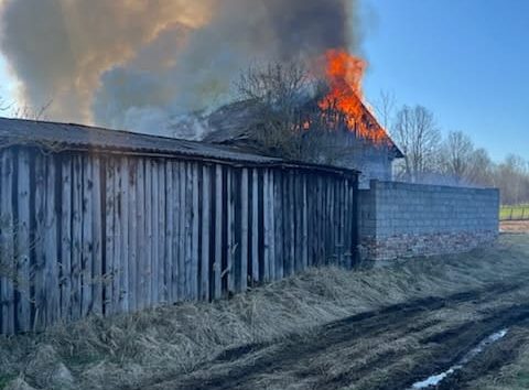 Pożar stodoły w gminie Zagnańsk. Zginęło 30 królików i 20 przepiórek