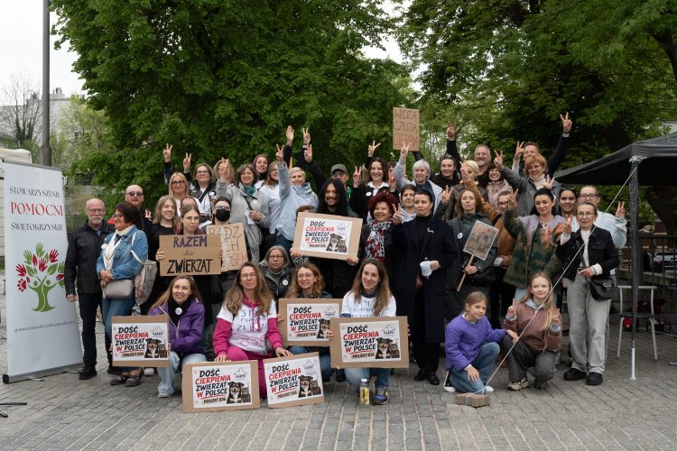 „Stop cierpieniu zwierząt w Polsce”. Protest na ulicy Sienkiewicza
