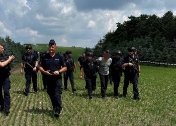Zabójstwo w miejscowości Mierzawa. Zatrzymano podejrzanego