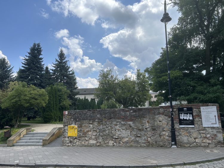 Radni zdecydują, czy wydzierżawić teren po dawnym ogródku „Lecha”