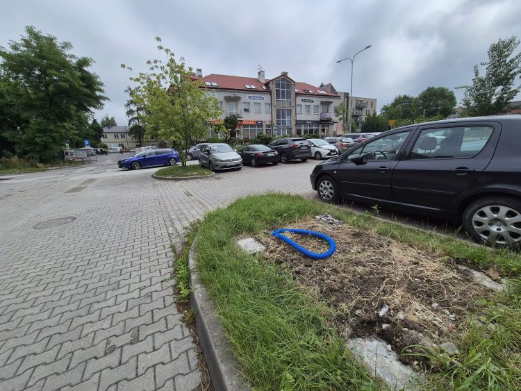Parking przy Kościuszki na razie bezpłatny. Operator zrezygnował