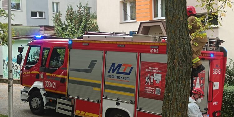 Dramat na osiedlu Pod Dalnią! Znaleziono ciała czterech osób