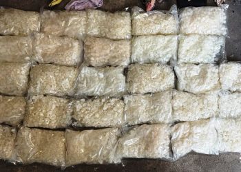 86 kilogramów substancji odurzających. 23-letni kielczanin zatrzymany